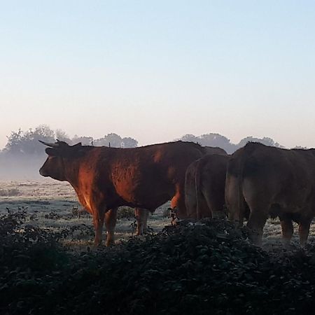 Landelijk Gelegen Huisje Op Erf Veeningen Bagian luar foto