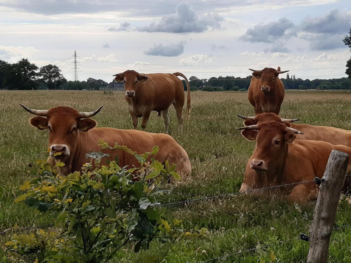 Landelijk Gelegen Huisje Op Erf Veeningen Bagian luar foto
