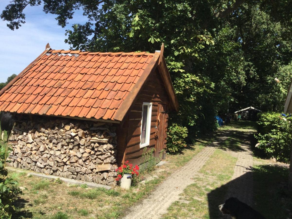 Landelijk Gelegen Huisje Op Erf Veeningen Bagian luar foto