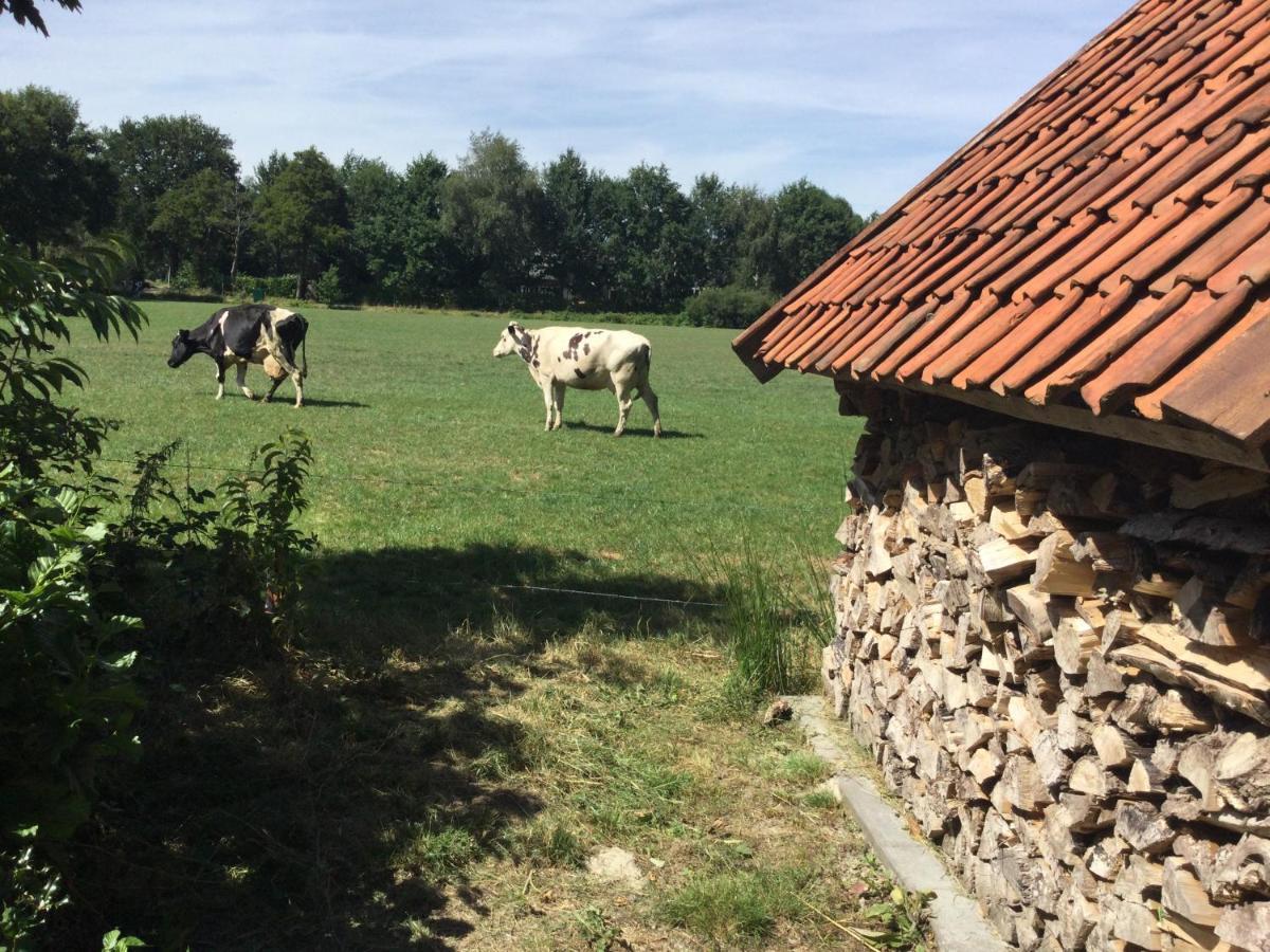 Landelijk Gelegen Huisje Op Erf Veeningen Bagian luar foto