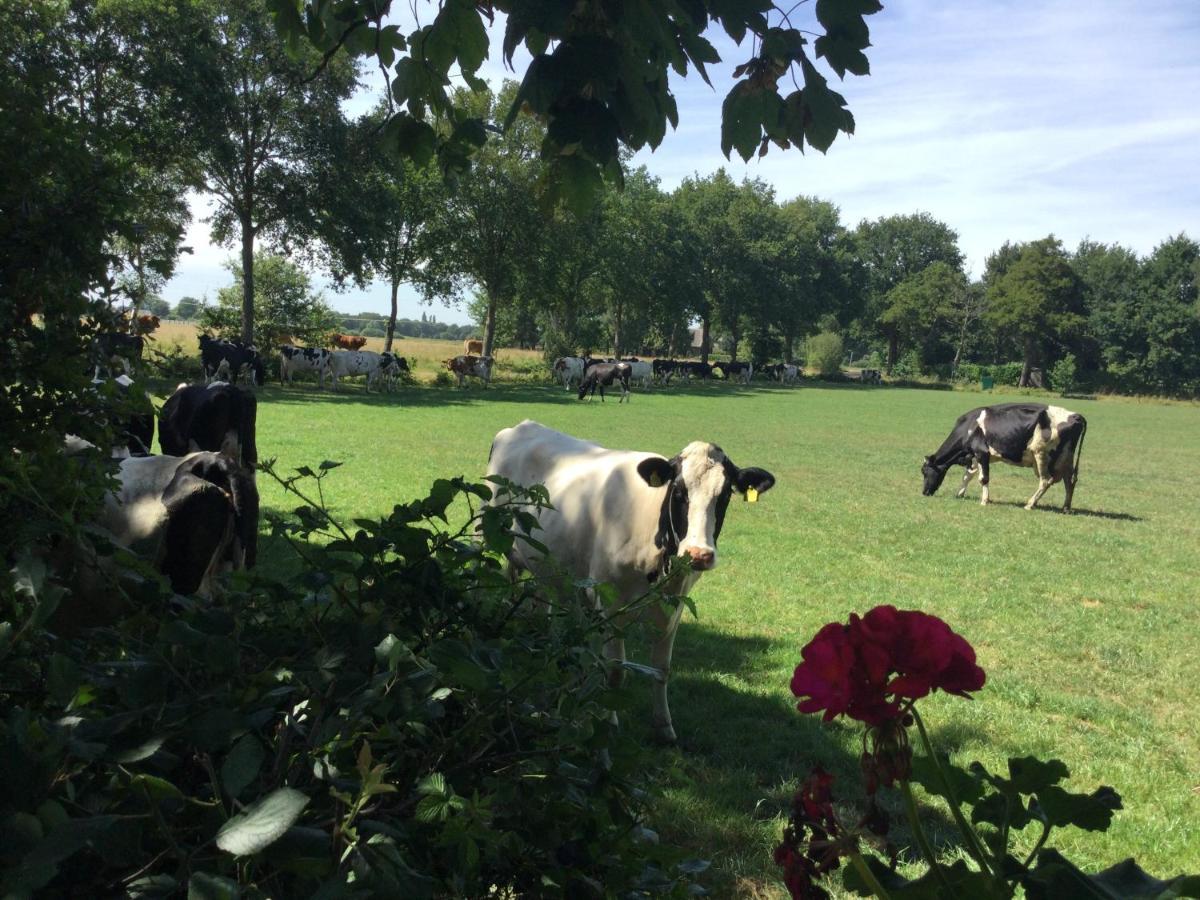 Landelijk Gelegen Huisje Op Erf Veeningen Bagian luar foto