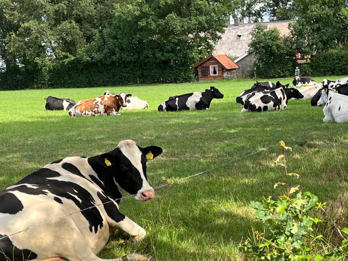 Landelijk Gelegen Huisje Op Erf Veeningen Bagian luar foto